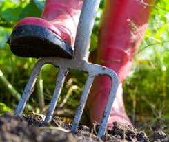 Digging